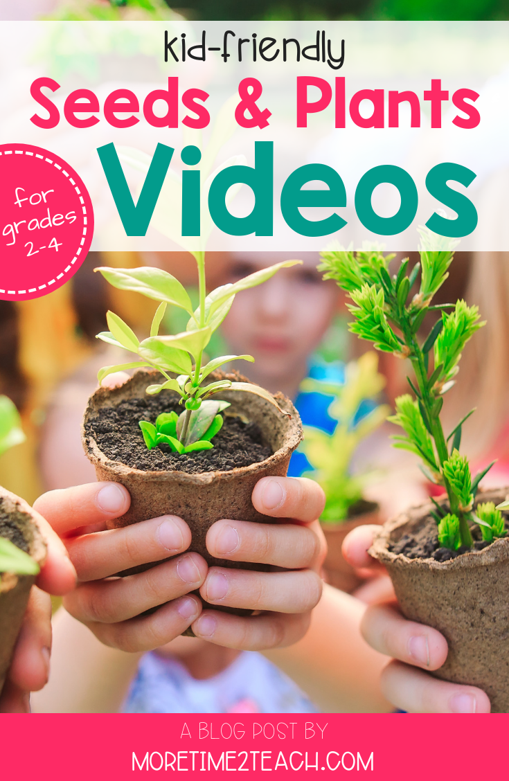 Don't you just love the Spring! It's the perfect time of year to learn about how plants grow. And what better way to get your kids excited about science, then by watching kid-friendly videos on plants. Kid-Friendly Videos You Should Be Using To Teach About Plants - More Time 2 Teach #Sciencevideos #Spring #AllAboutPlantsUnit 